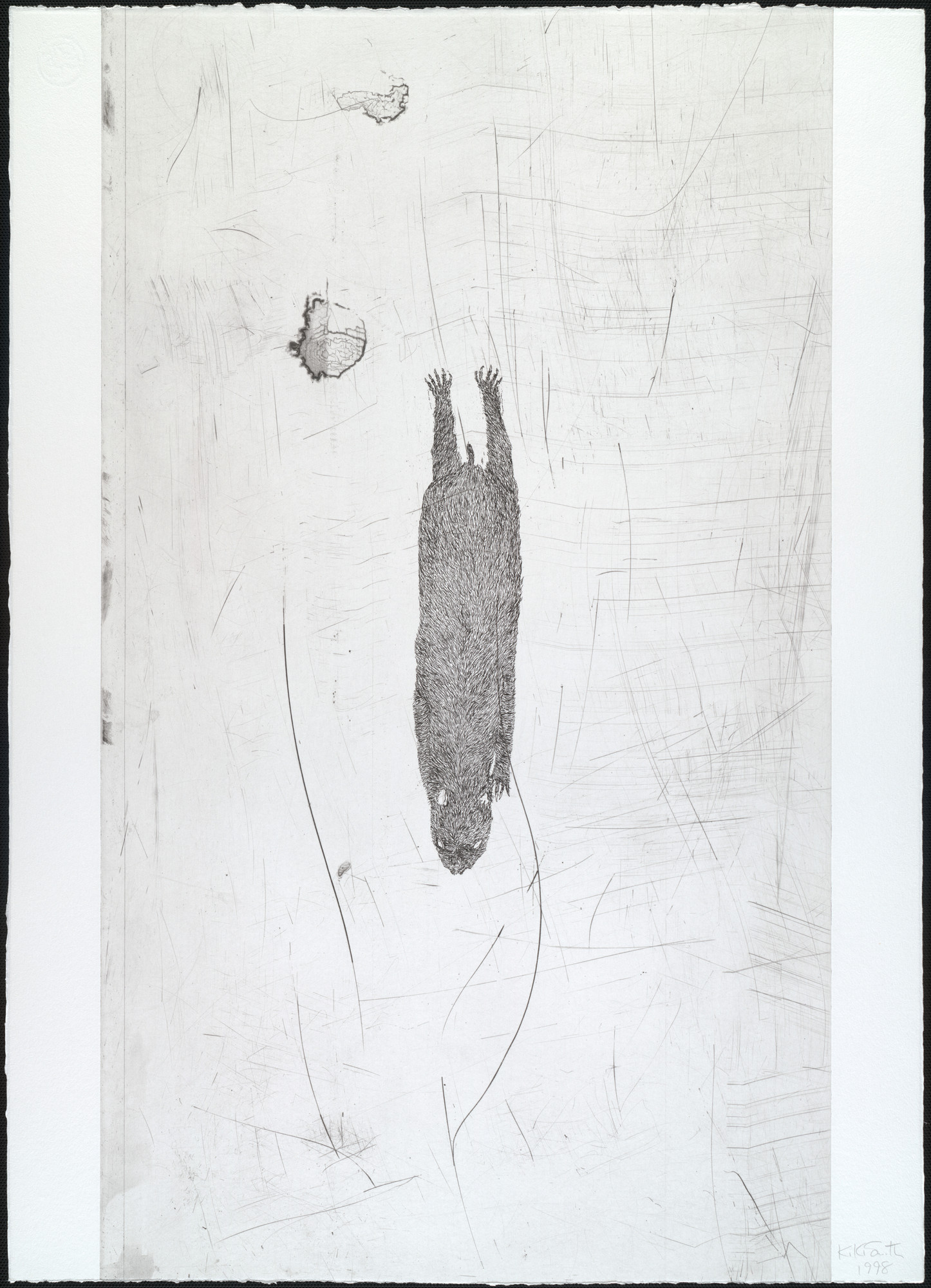 Kiki Smith. Untitled from White Mammals
