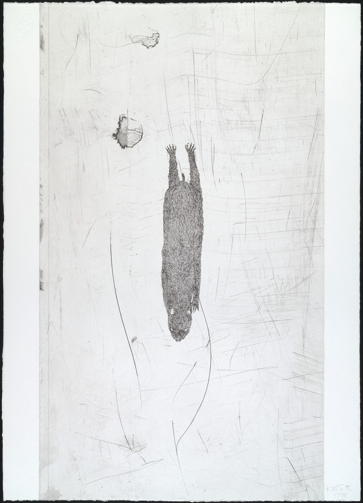 Untitled from White Mammals