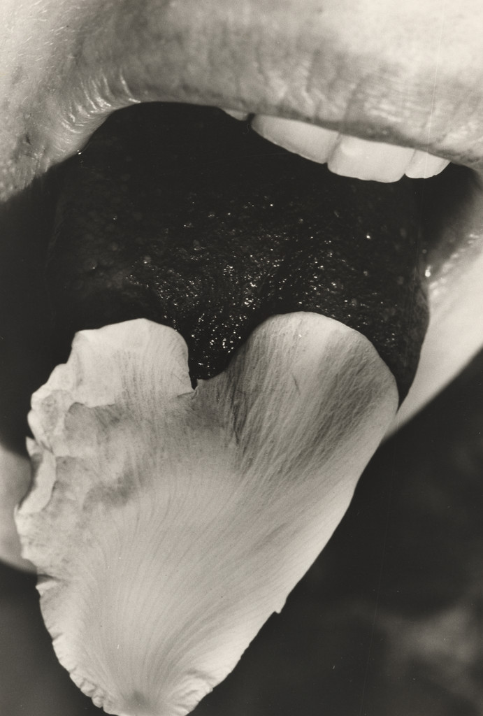 Untitled from the series Restored to her Natural State by Nibbling Rose Petals