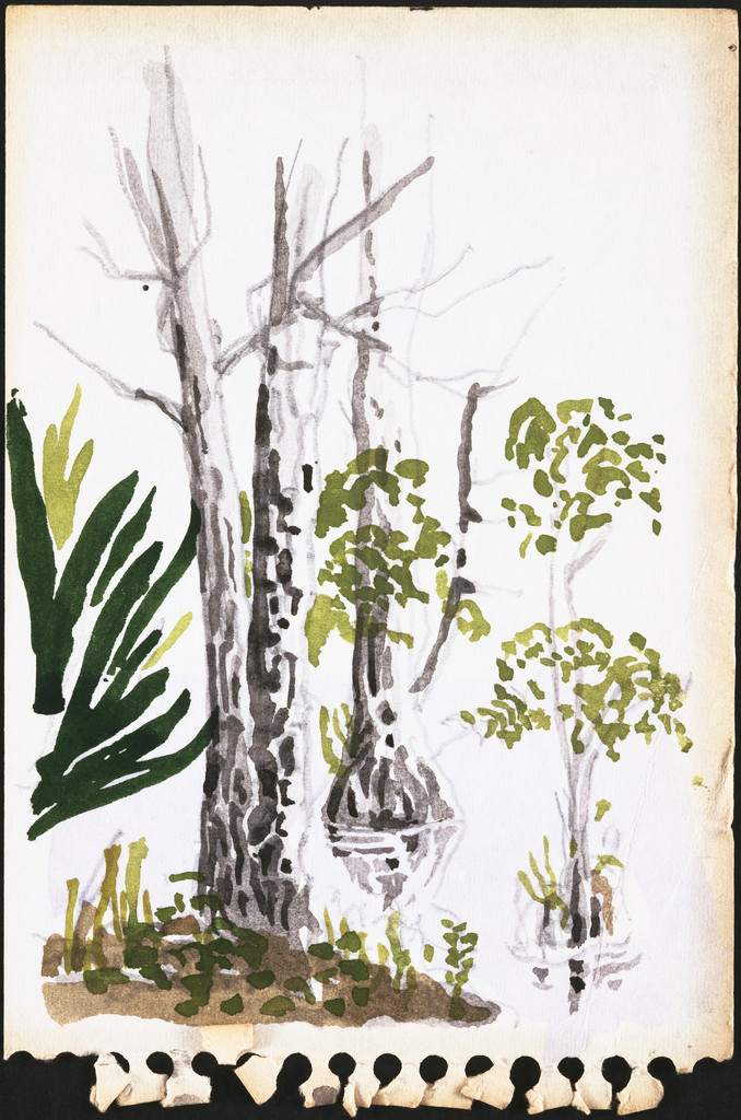Generator Project, White Oak, Florida, Sketch, "On St. Mary's River"