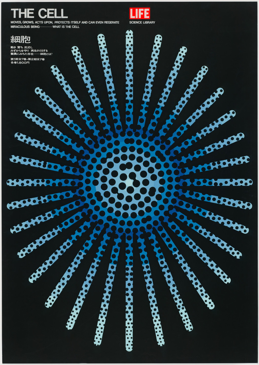 Kazumasa Nagai. The Cell. 1966 | MoMA