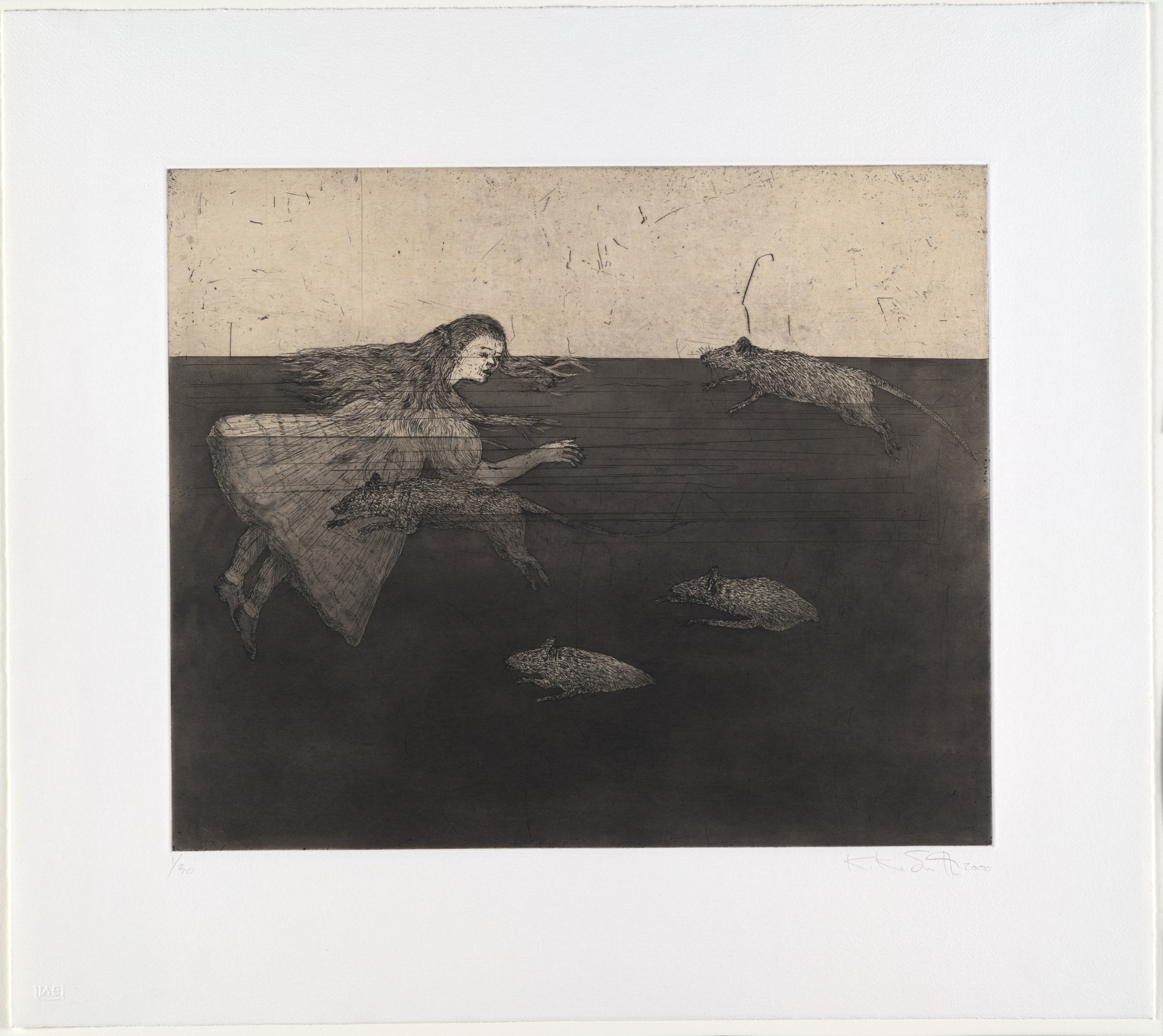 Kiki Smith. Pool of Tears 1