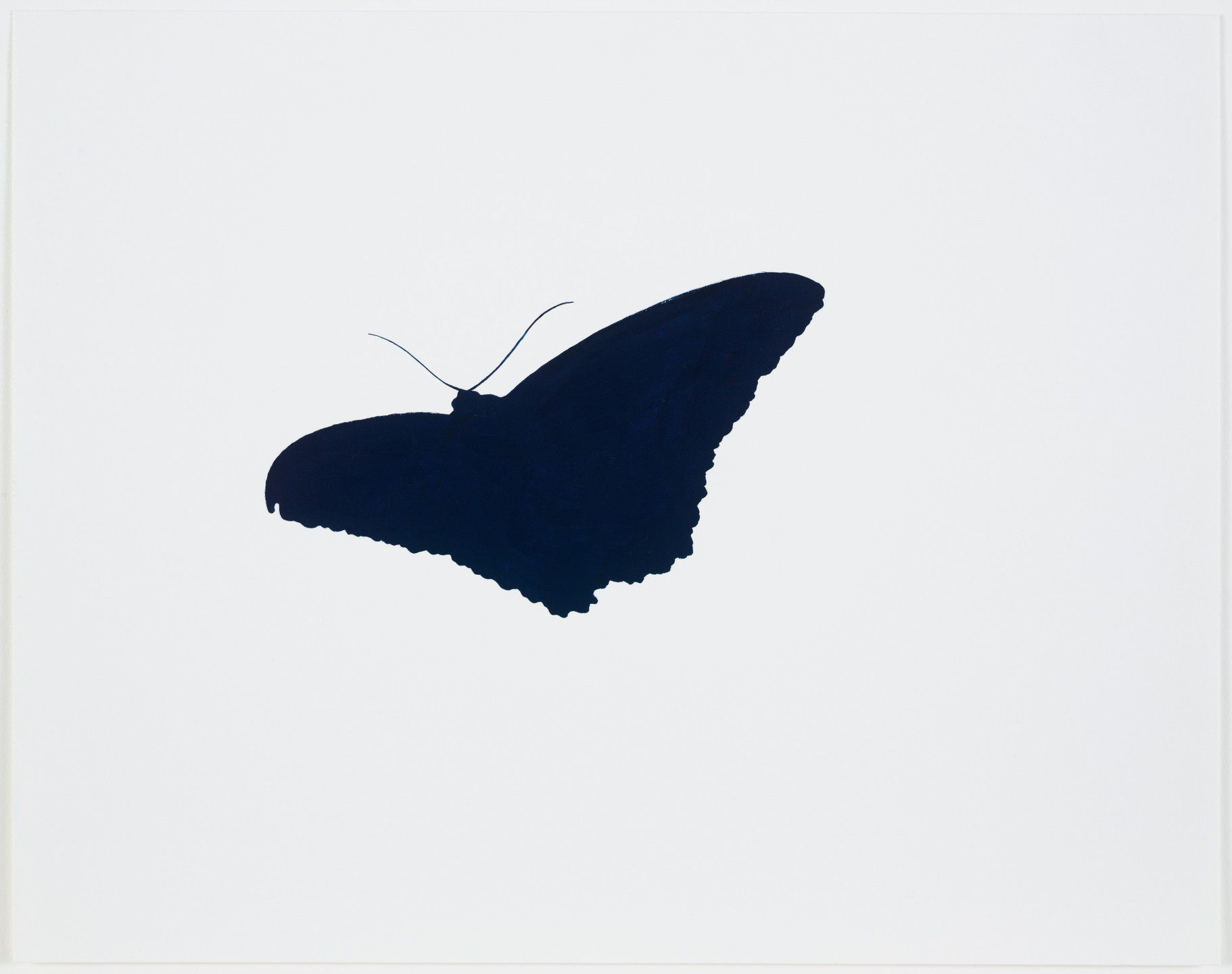 Iran do Espirito Santo. Untitled (Butterfly Prussian Blue