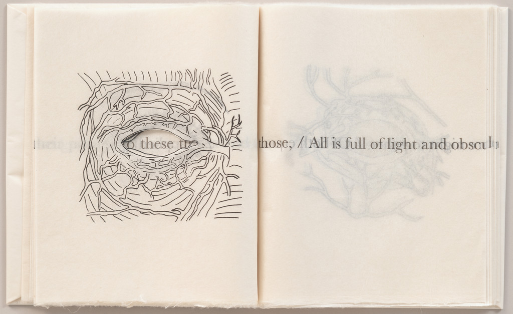 Plate (folio 6 verso) from The Vitreous Body