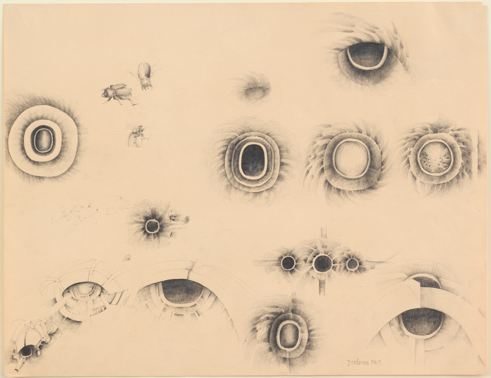 Lee Bontecou. Untitled. 1962