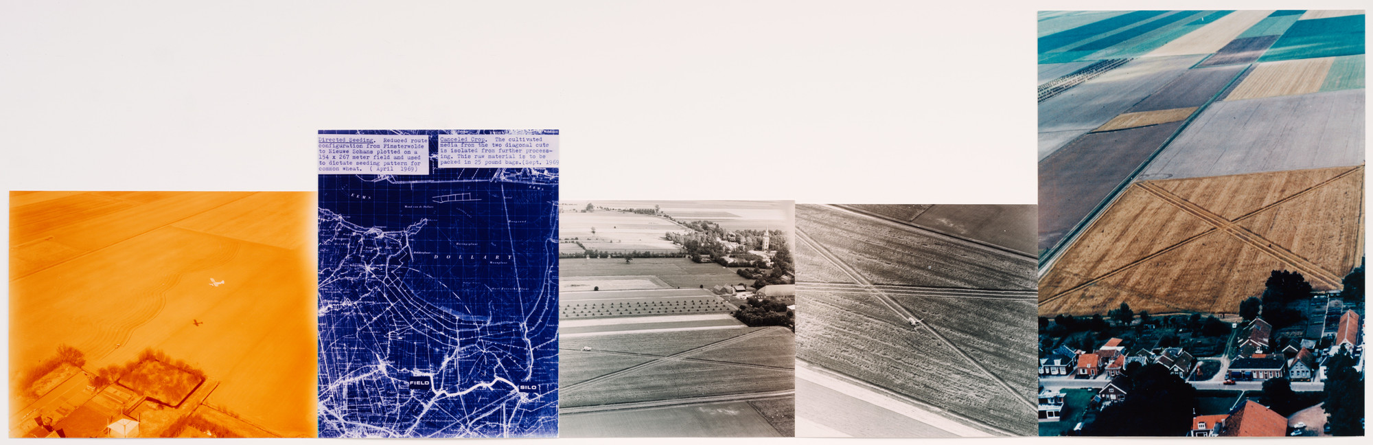 Dennis Oppenheim. Directed Seeding/Cancelled Crop. 1969