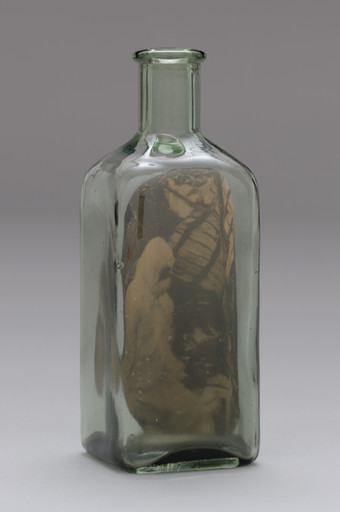 Felix Gonzalez-Torres. 
