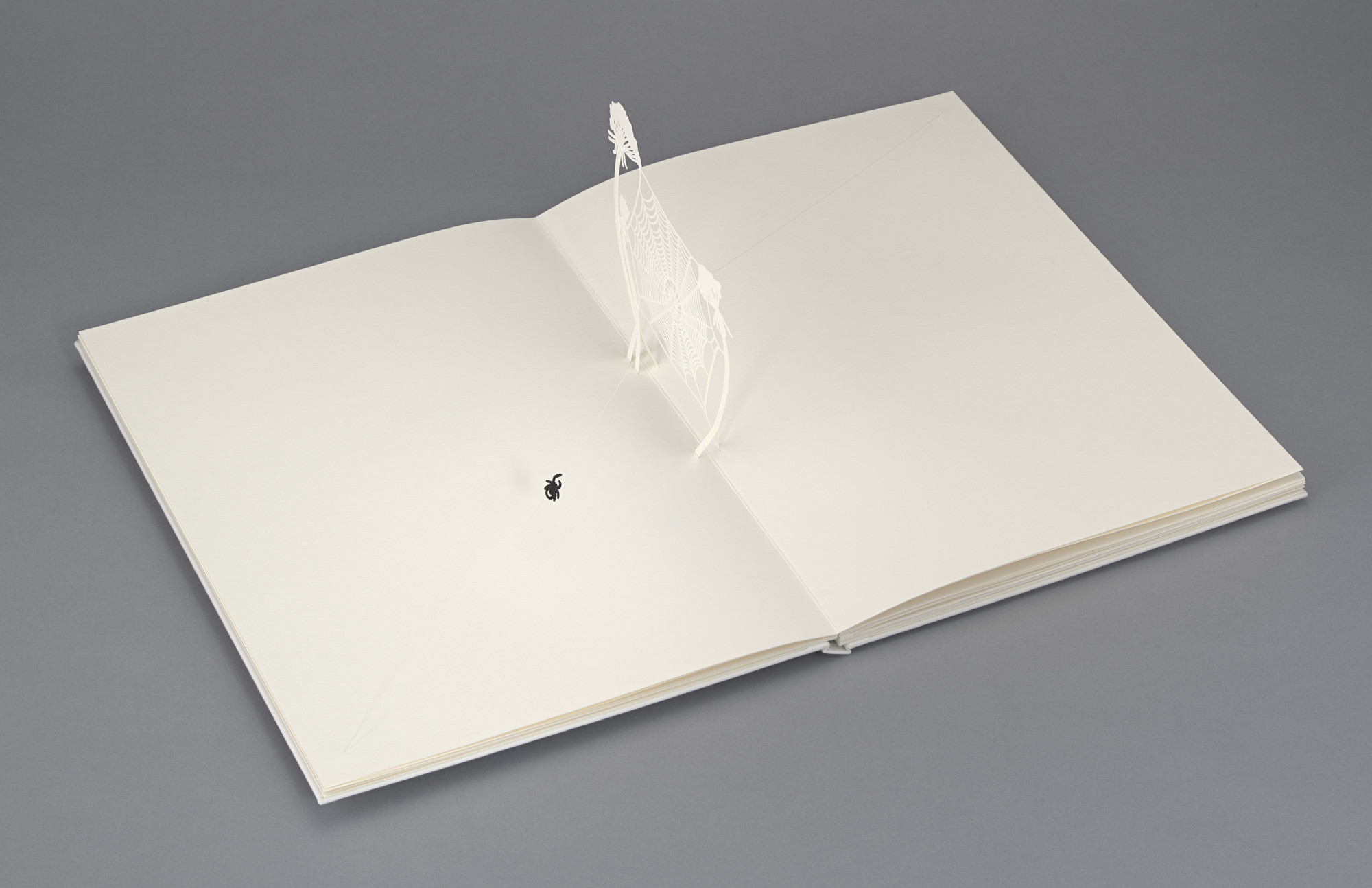 Tomás Saraceno, Chisato Tamabayashi. From Arachnophobia to Arachnophilia. 2022