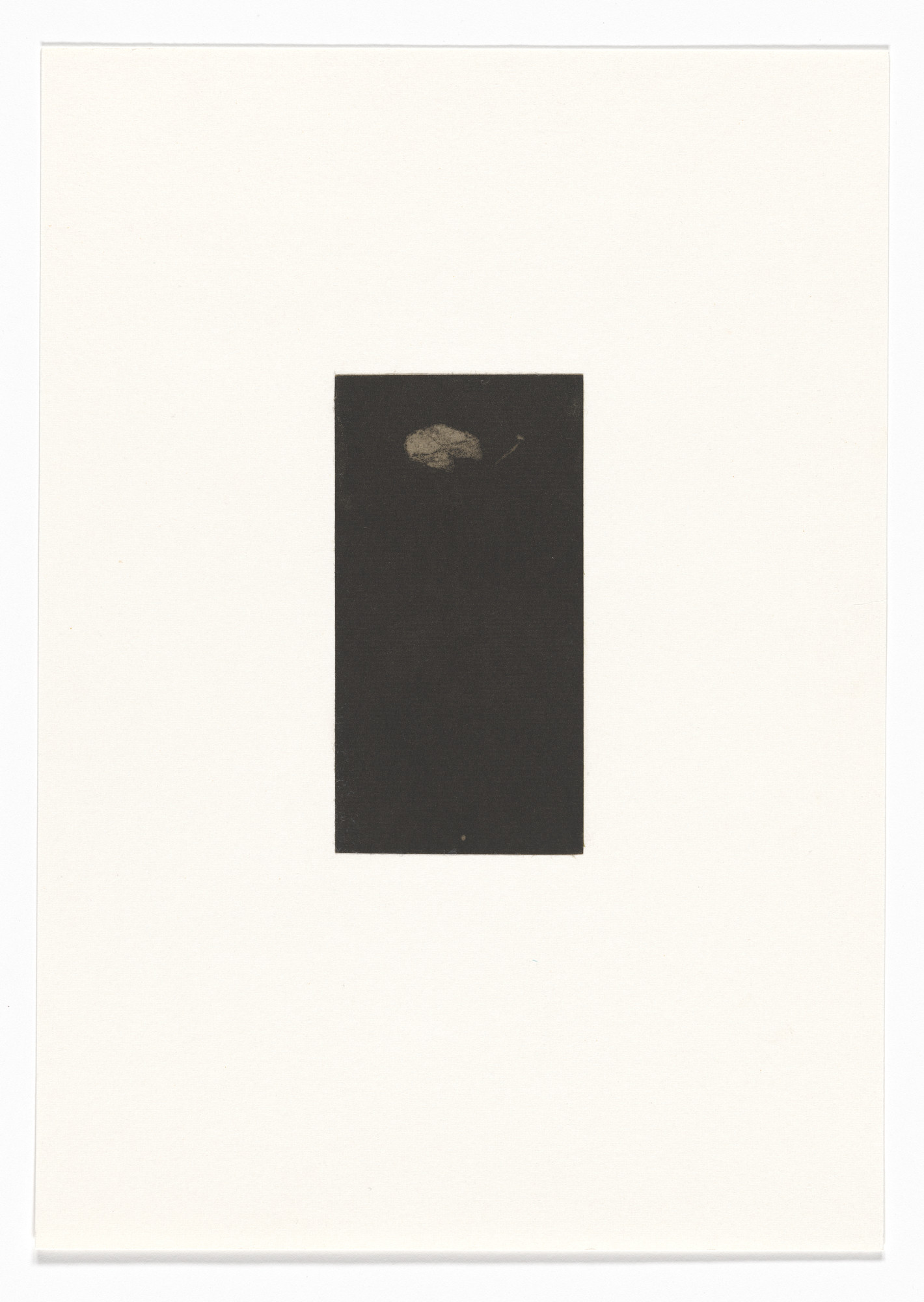 Marvin Harden. Untitled from Natural Selections