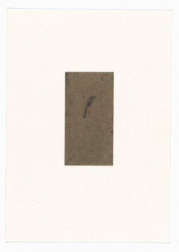 Untitled from Natural Selections