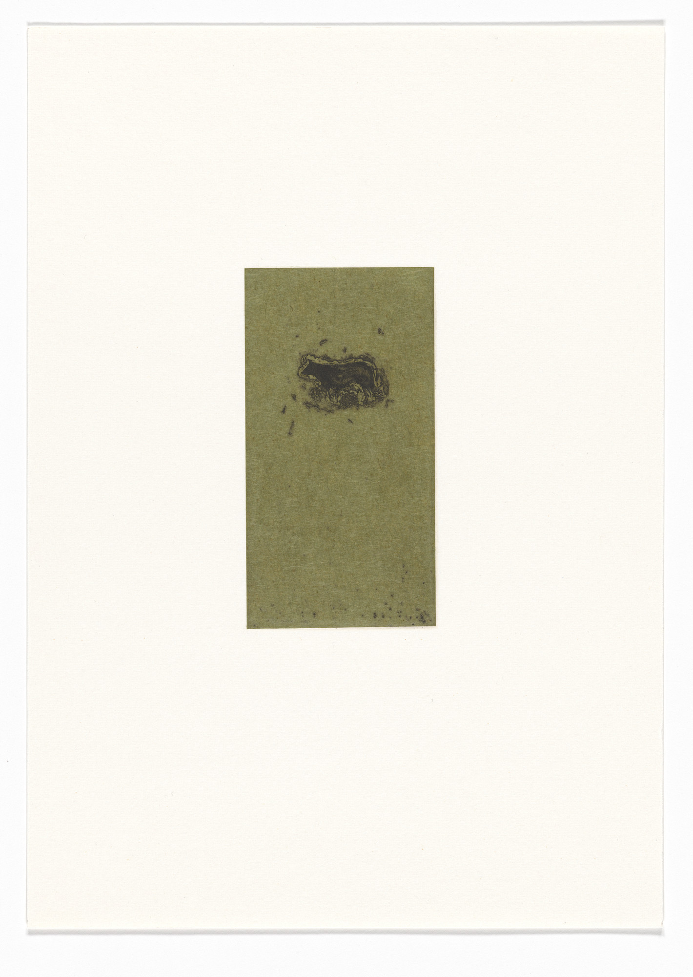 Marvin Harden. Untitled from Natural Selections