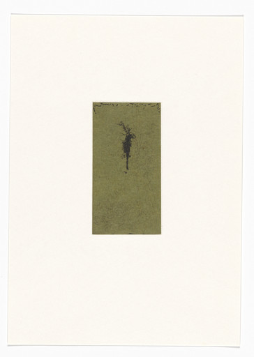 Untitled from Natural Selections