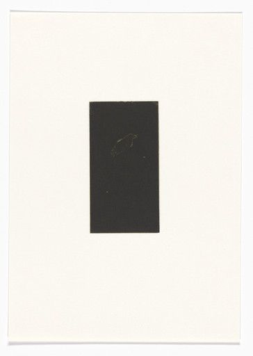 Untitled from Natural Selections