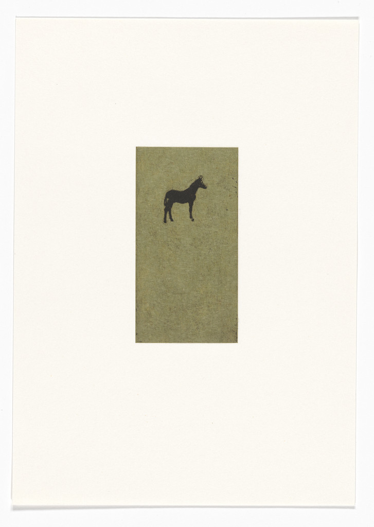 Untitled from Natural Selections