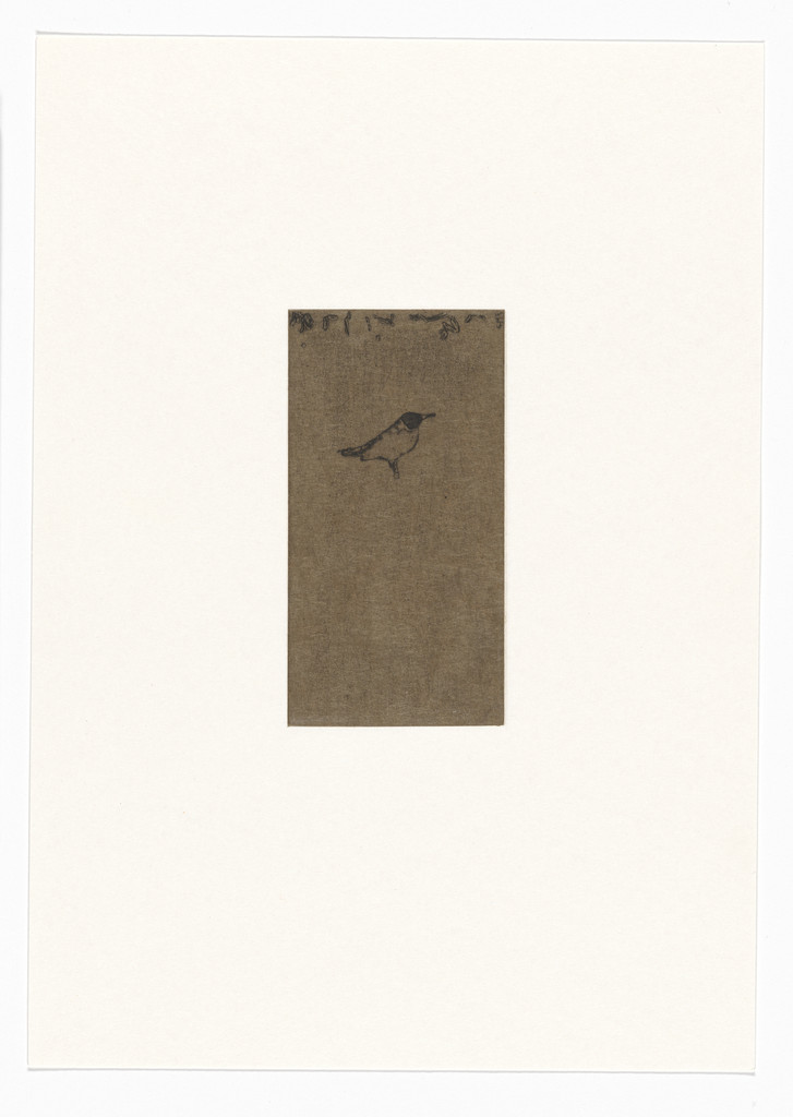 Untitled from Natural Selections