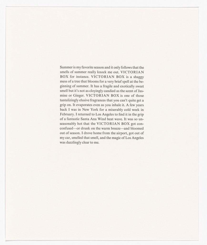 Untitled from The Smells of Summer