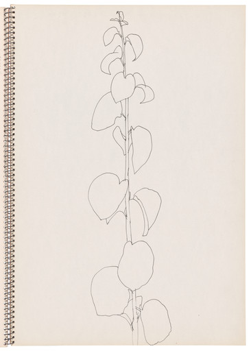 Ellsworth Kelly. Sketchbook #54, France. 1965