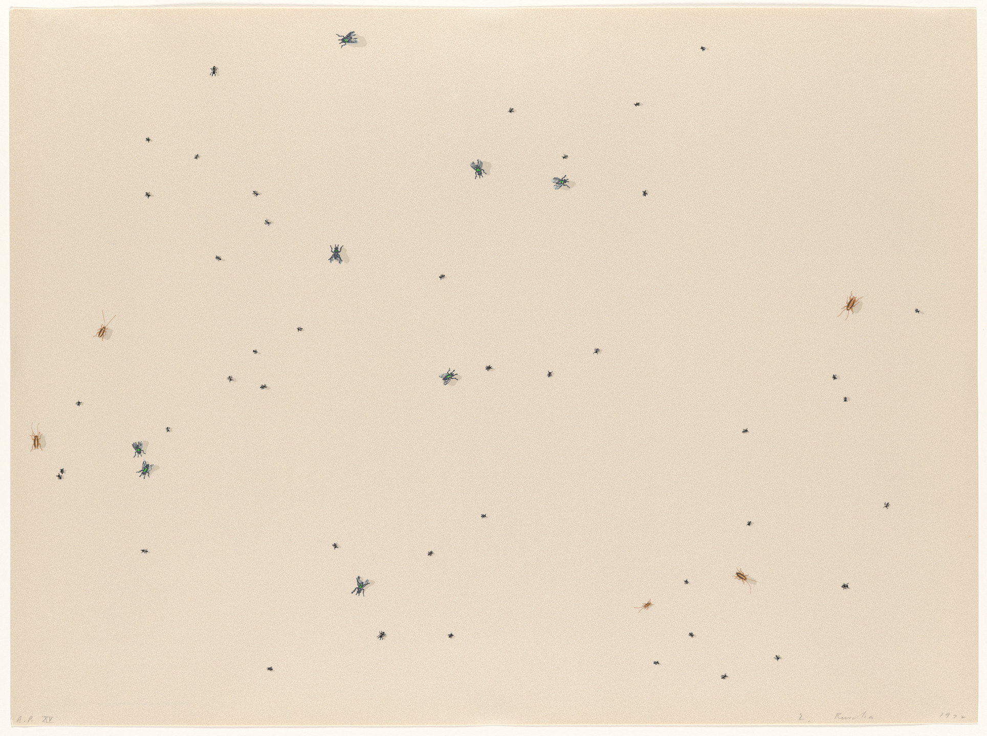 Edward Ruscha. Pearl Dust Combination from Insects. 1972