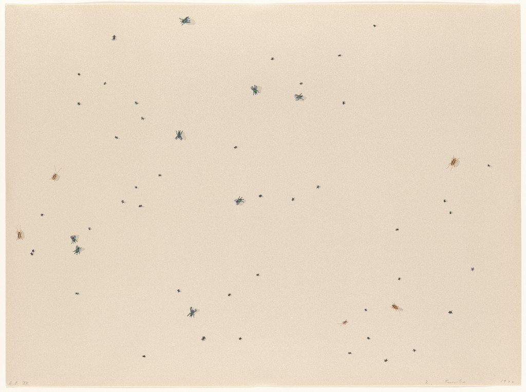 Pearl Dust Combination from Insects