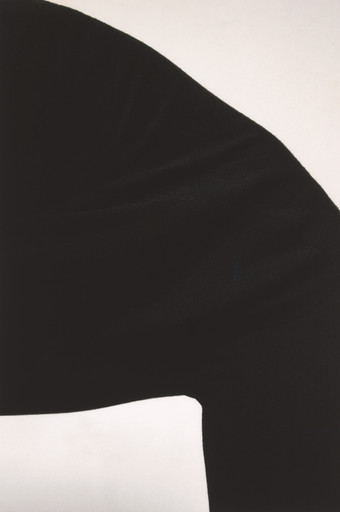 Untitled from the series Soy un disfraz de tigre (I am a tiger costume)