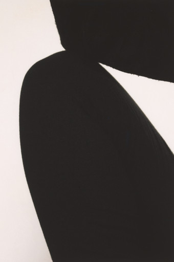 Untitled from the series Soy un disfraz de tigre (I am a tiger costume)