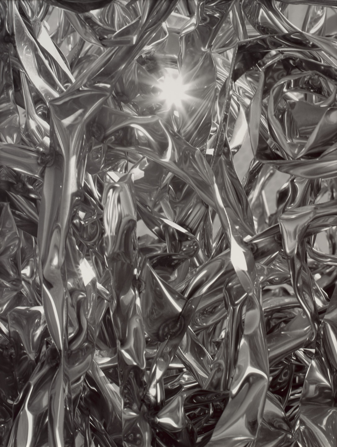 Roe Ethridge. Chamberlain. 2010