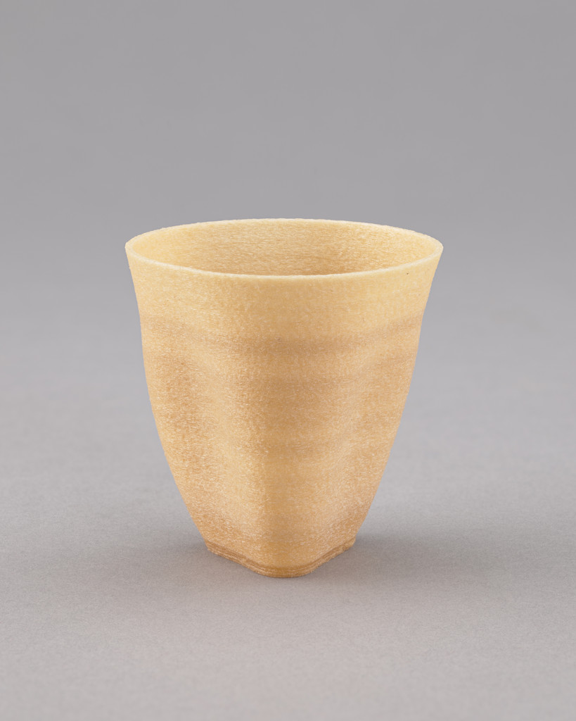 Algae Geographies cup