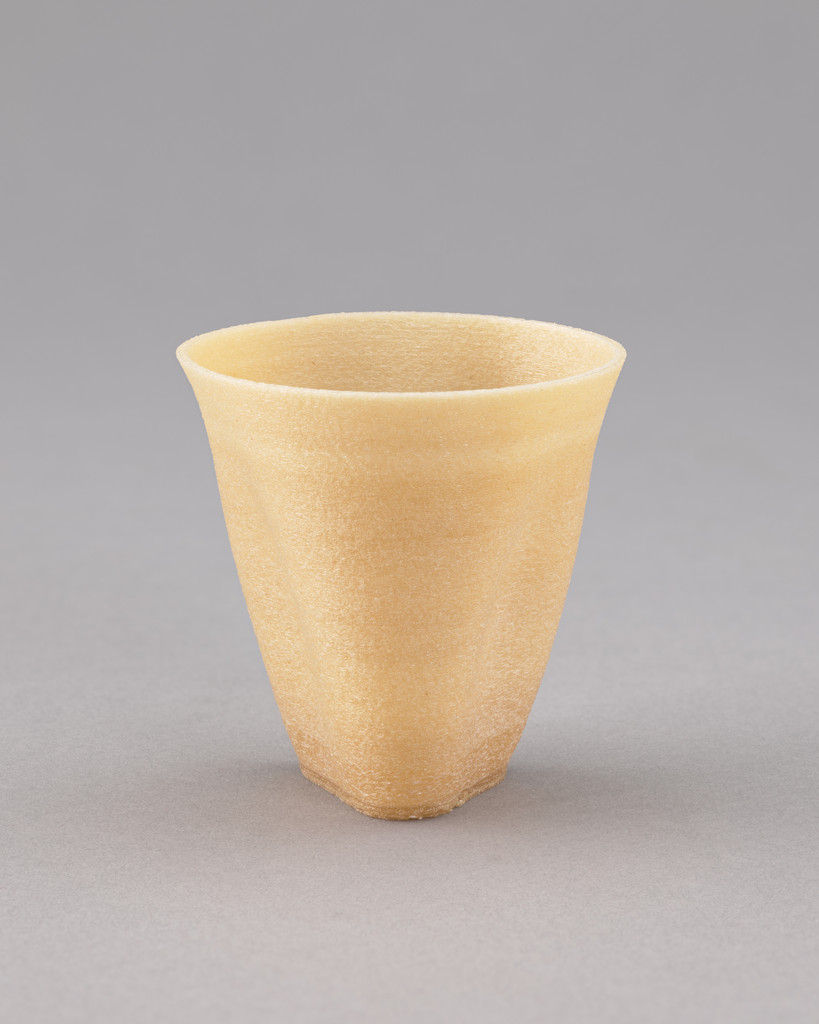 Algae Geographies cup