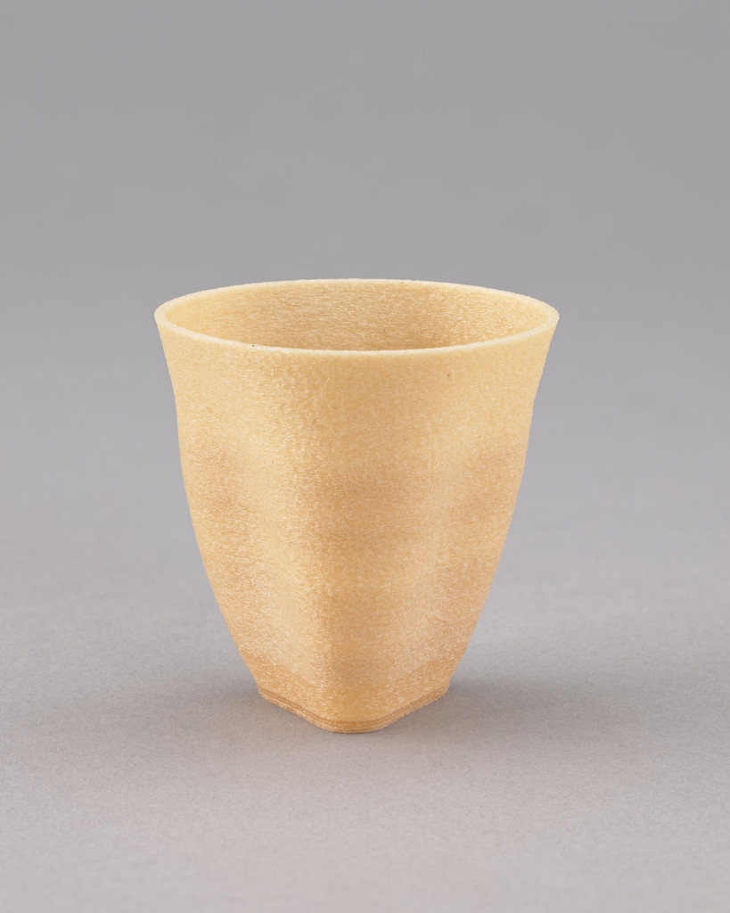 Algae Geographies cup