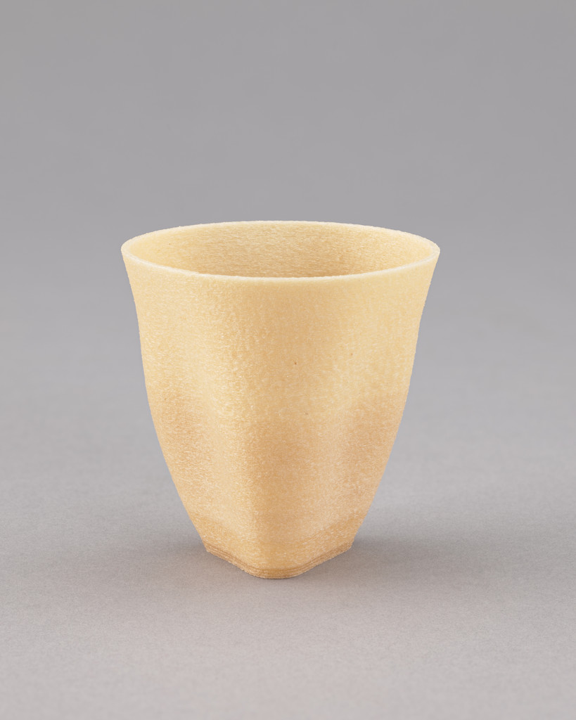 Algae Geographies cup