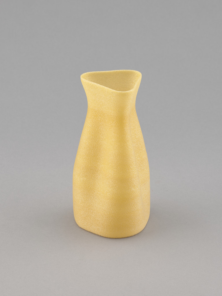 Algae Geographies carafe