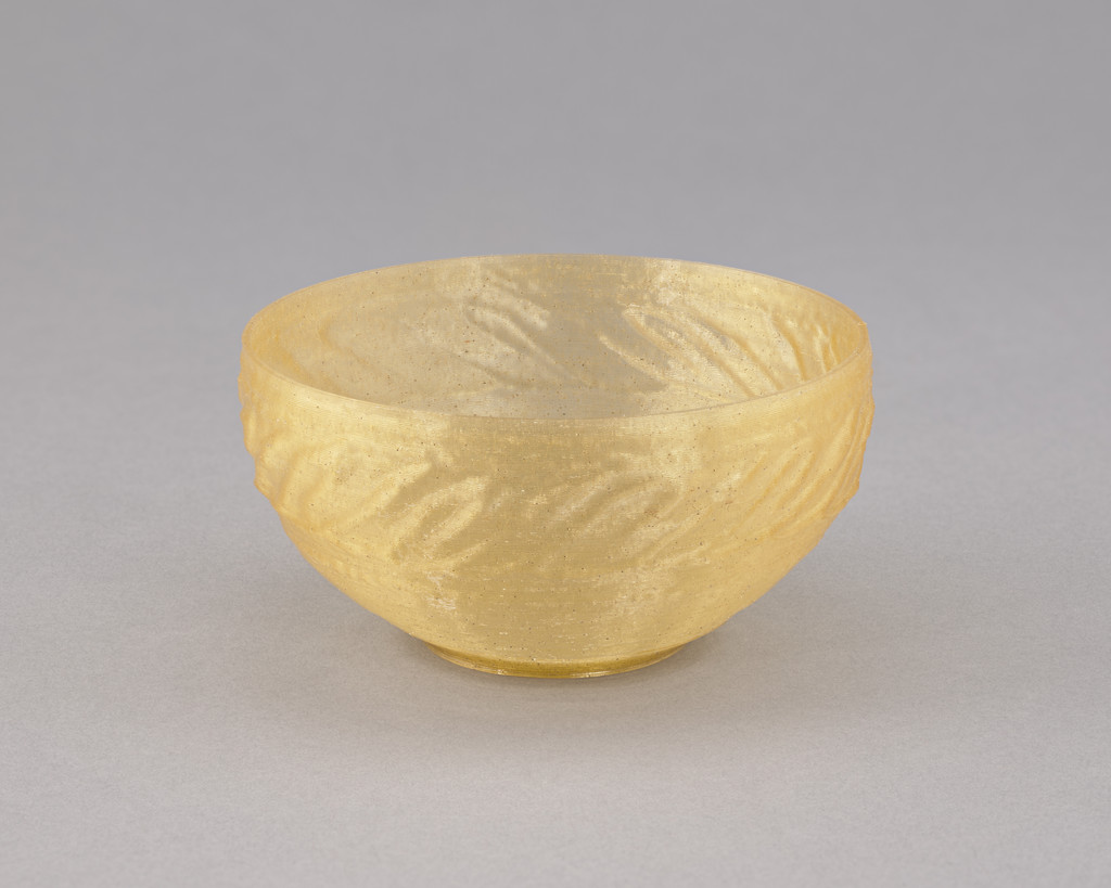 Algae Geographies cup