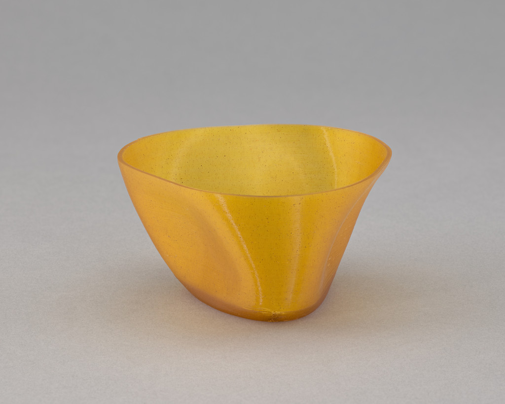 Algae Geographies cup