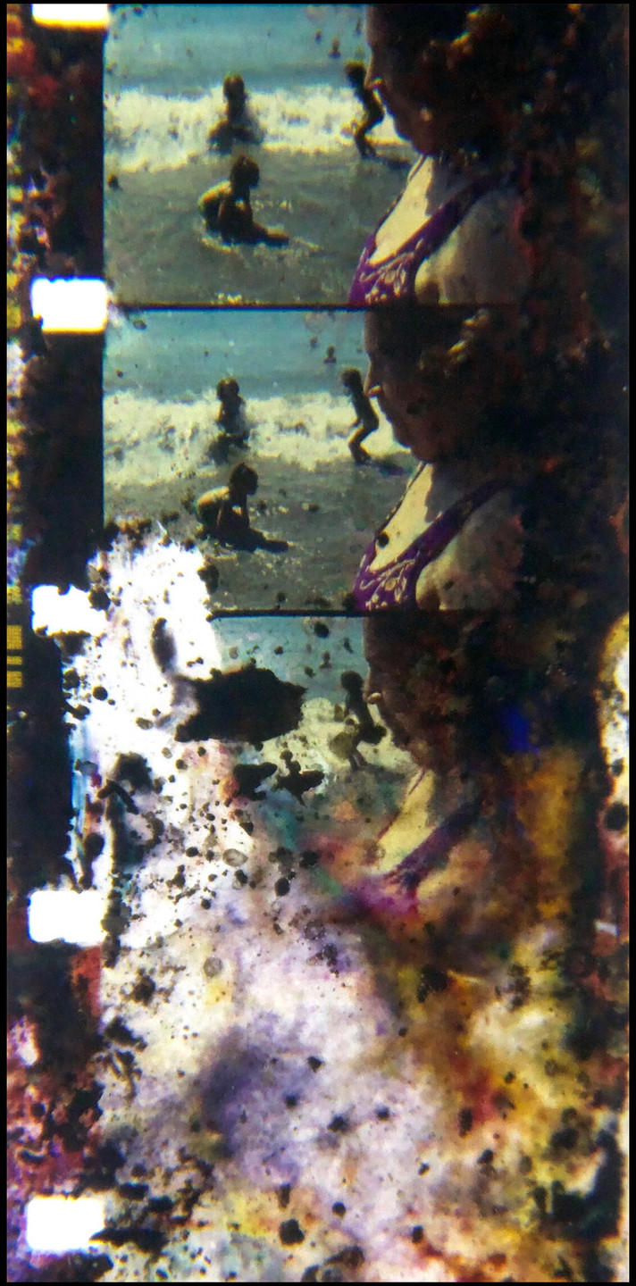 Sofía Gallisá Muriente. Asimilar y Destruir II. 2019