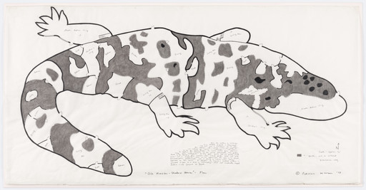 Gila Monster - Shadow House - Plan
