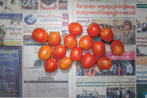 Chow and Lin, Stefen Chow, Huiyi Lin. The Poverty Line (Tomatoes) (Cambodia). 2010-2020