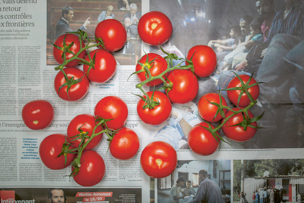 Chow and Lin, Stefen Chow, Huiyi Lin. The Poverty Line (Tomatoes) (France). 2010-2020