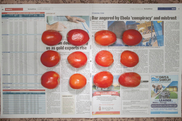 Chow and Lin, Stefen Chow, Huiyi Lin. The Poverty Line (Tomatoes) (Kenya). 2010-2020