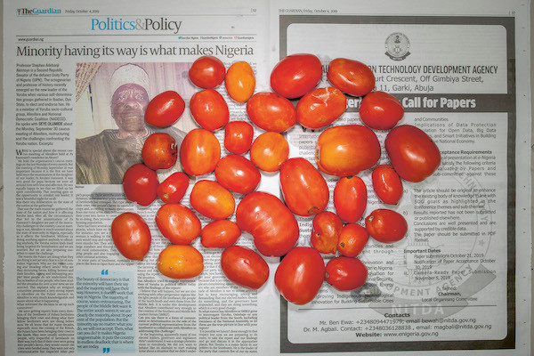 Chow and Lin, Stefen Chow, Huiyi Lin. The Poverty Line (Tomatoes) (Nigeria). 2010-2020