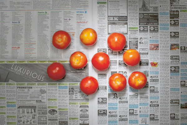 Chow and Lin, Stefen Chow, Huiyi Lin. The Poverty Line (Tomatoes) (Singapore). 2010-2020