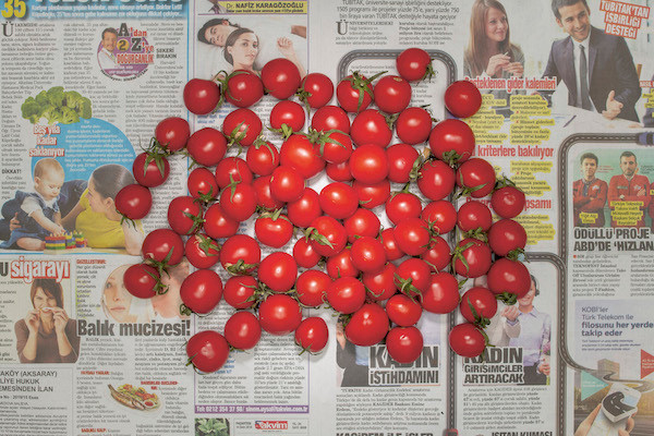 Chow and Lin, Stefen Chow, Huiyi Lin. The Poverty Line (Tomatoes) (Turkey). 2010-2020