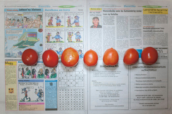 Chow and Lin, Stefen Chow, Huiyi Lin. The Poverty Line (Tomatoes) (Madagascar). 2010-2020