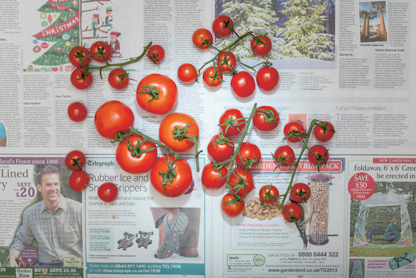 Chow and Lin, Stefen Chow, Huiyi Lin. The Poverty Line (Tomatoes) (United Kingdom). 2010-2020