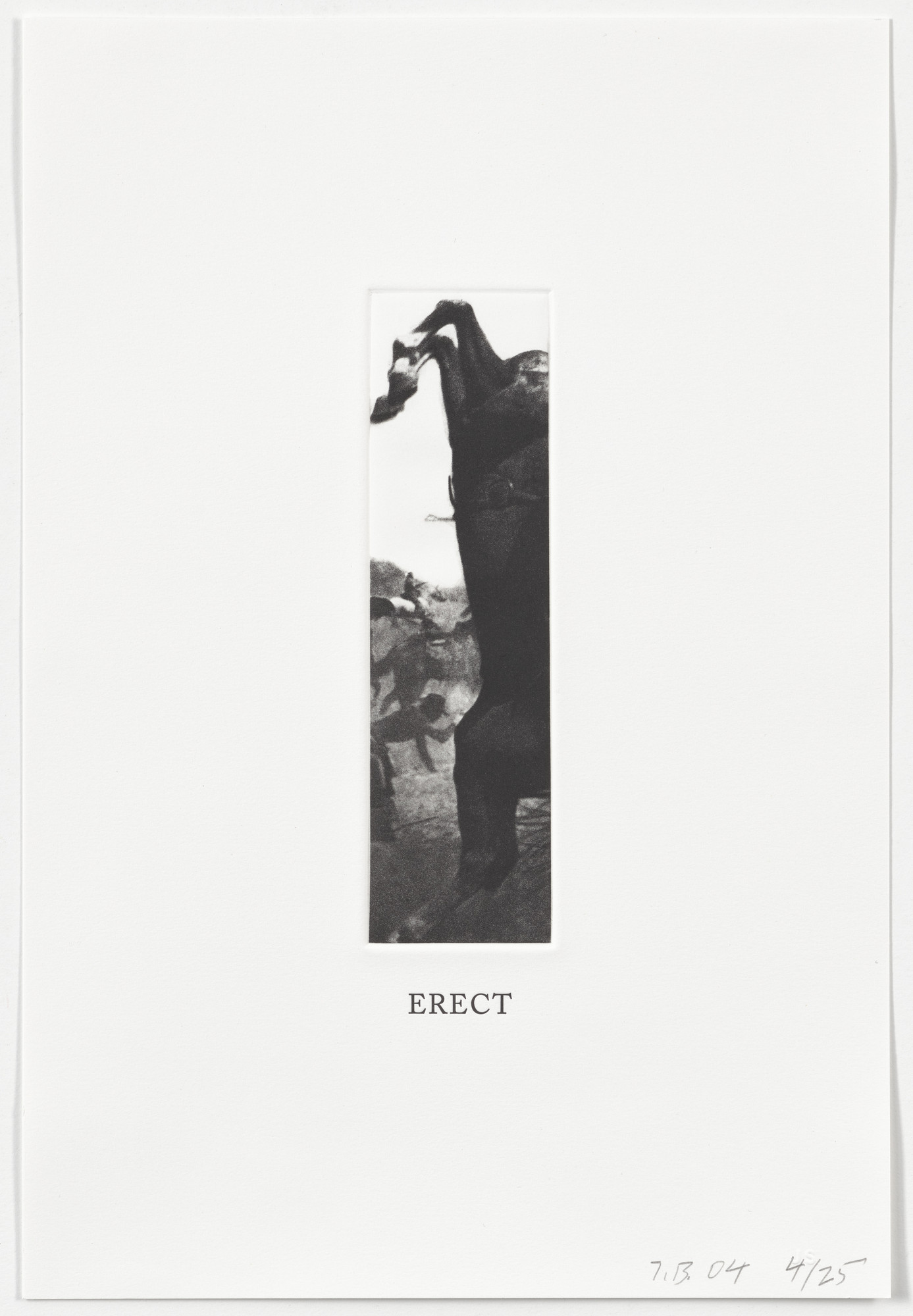 John Baldessari. Erect from Some Narrow Views: (Either Tall or Wide)