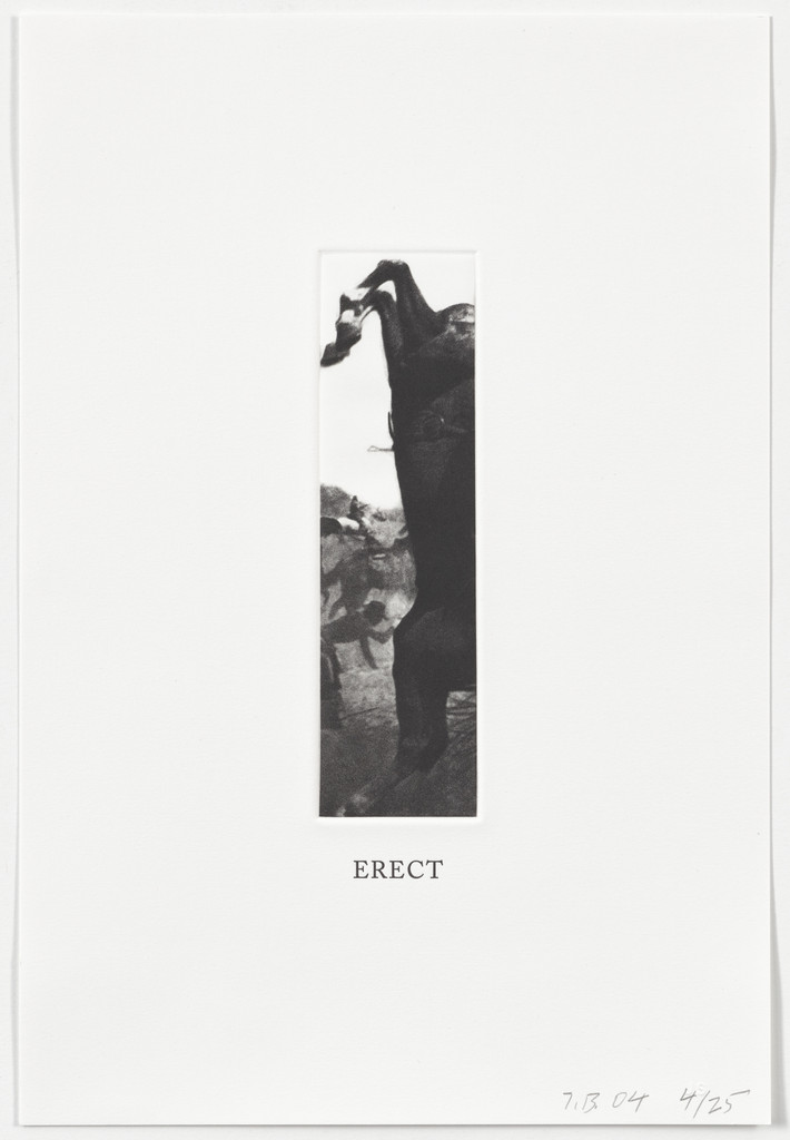 Erect from Some Narrow Views: (Either Tall or Wide) by John Baldessari