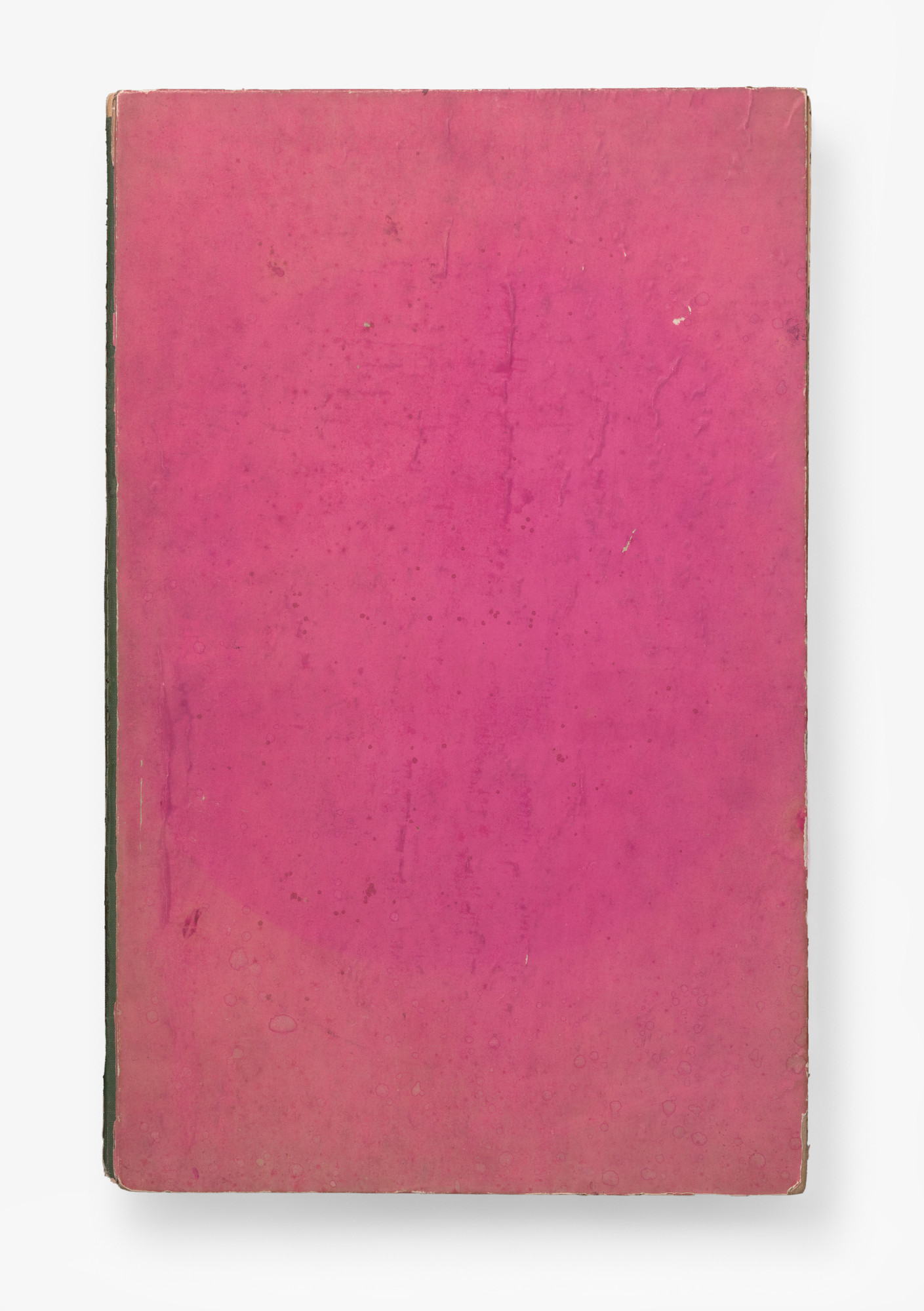 Andy Warhol, Julia Warhola. Wild Raspberries