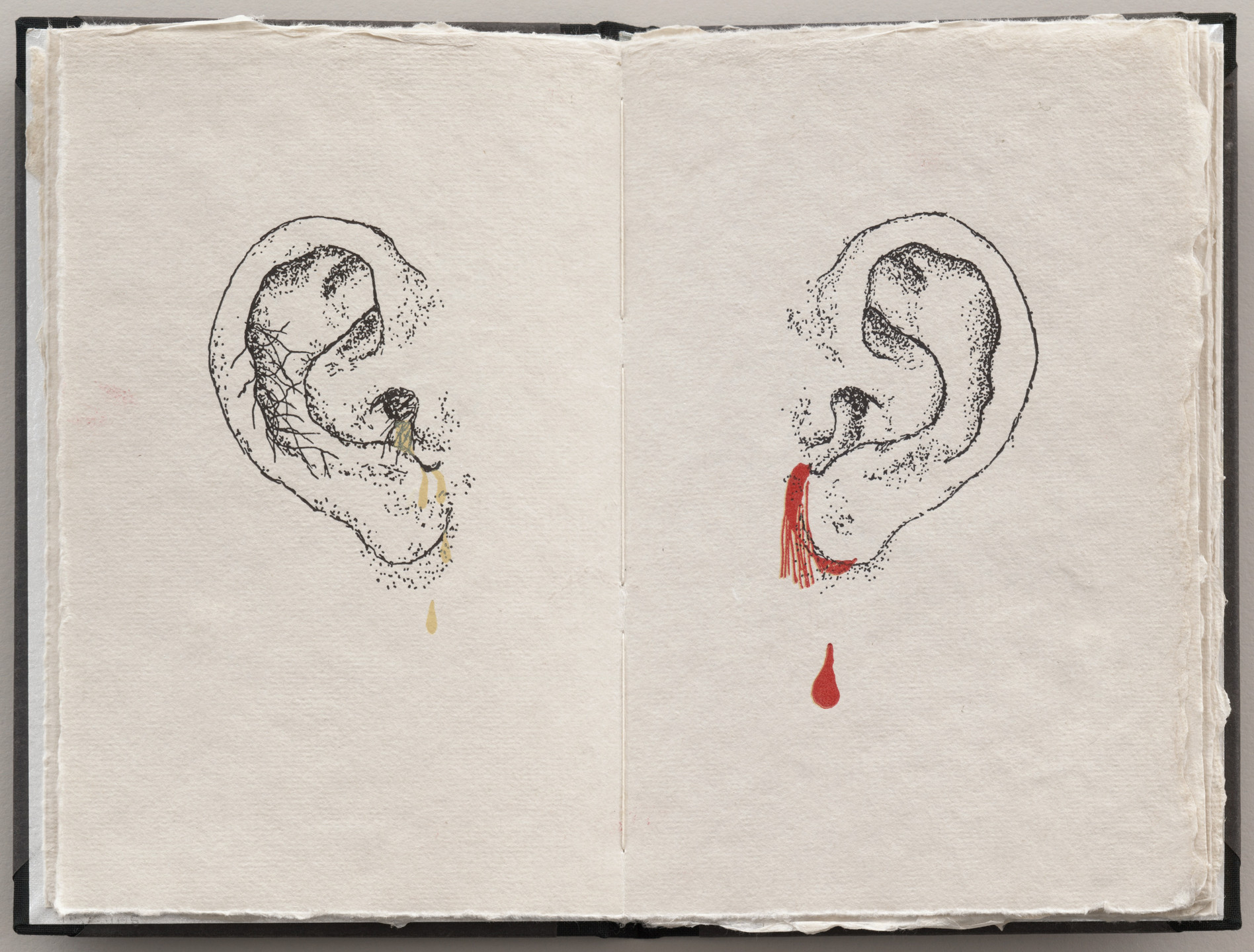 Kiki Smith. Double page plate (folios 4 verso and 5) from Fountainhead. 1991