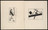 Kazimir Malevich. Suprematizm. 34 risunka (Suprematism: 34 Drawings). 1920