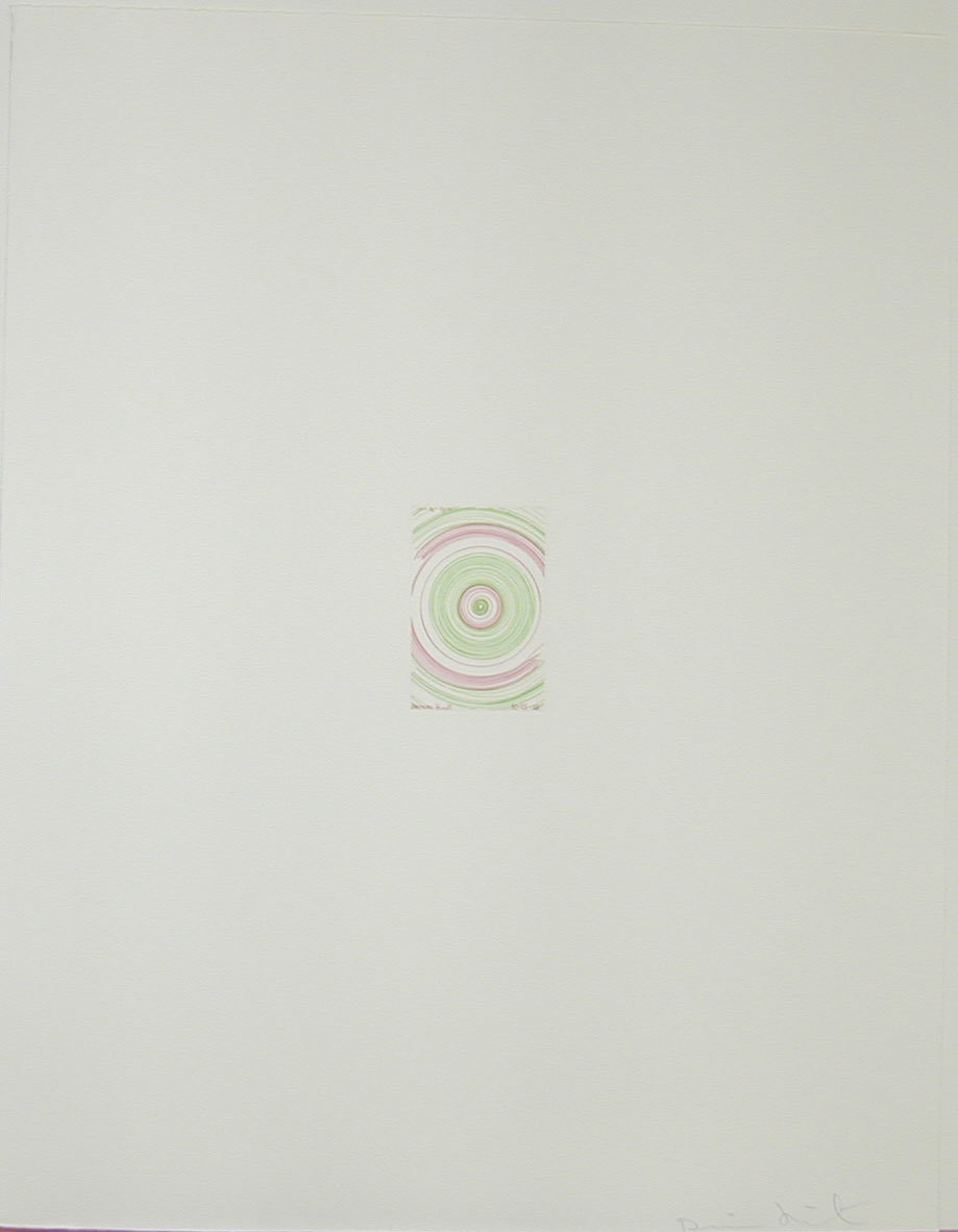 Damien Hirst. In a spin from In a Spin, the Action of the World on Things , Volume 1