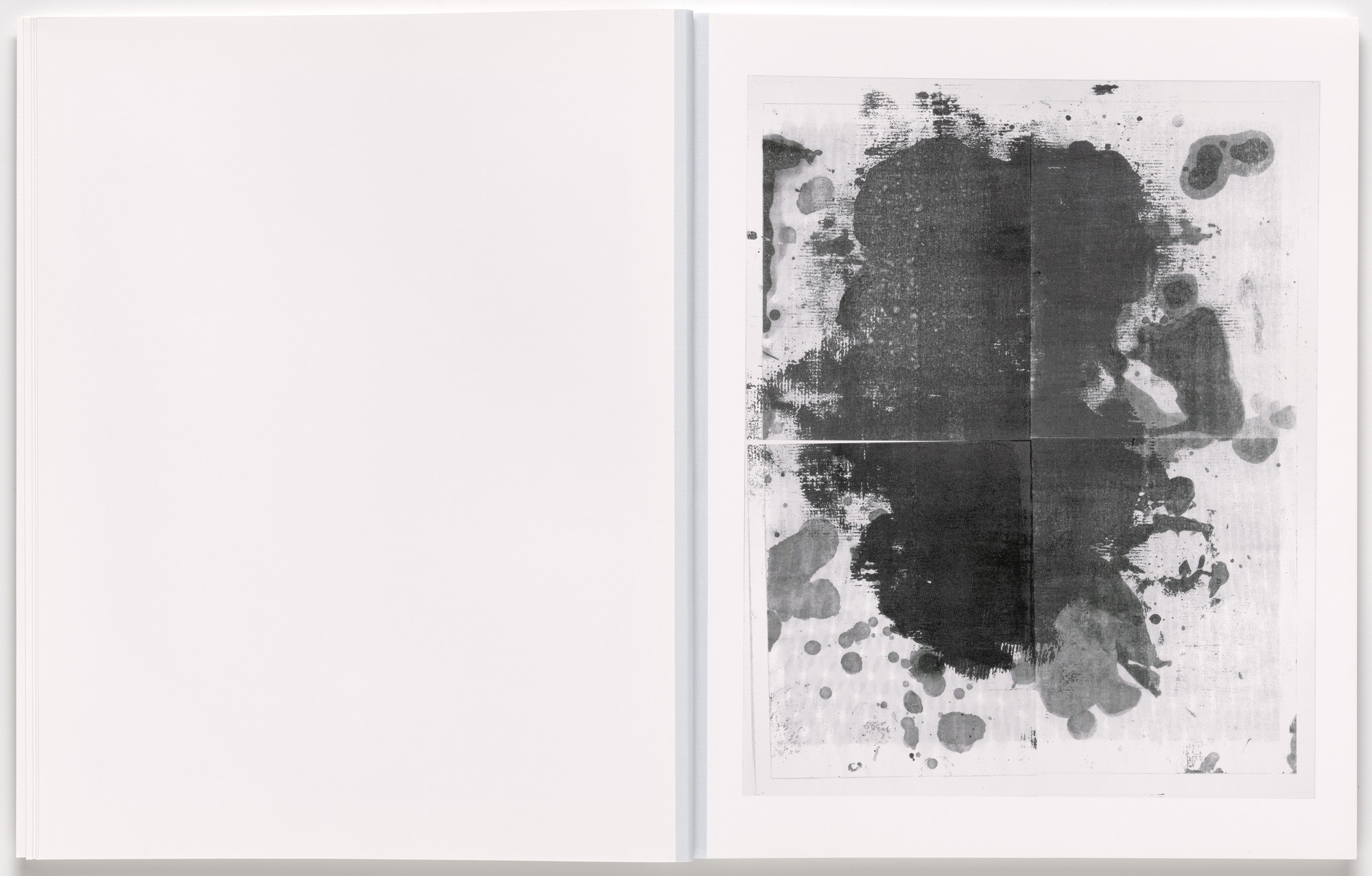 Christopher Wool. Book 6. 2024